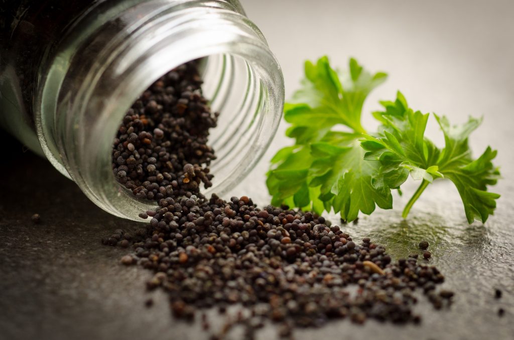 , Homemade Parsley Lotion That Will Make Your Skin Perfect